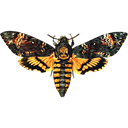 Death's Head Hawk Moth - Acherontia atropos icon